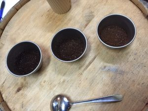 珈琲豆の勉強とカッピング体験