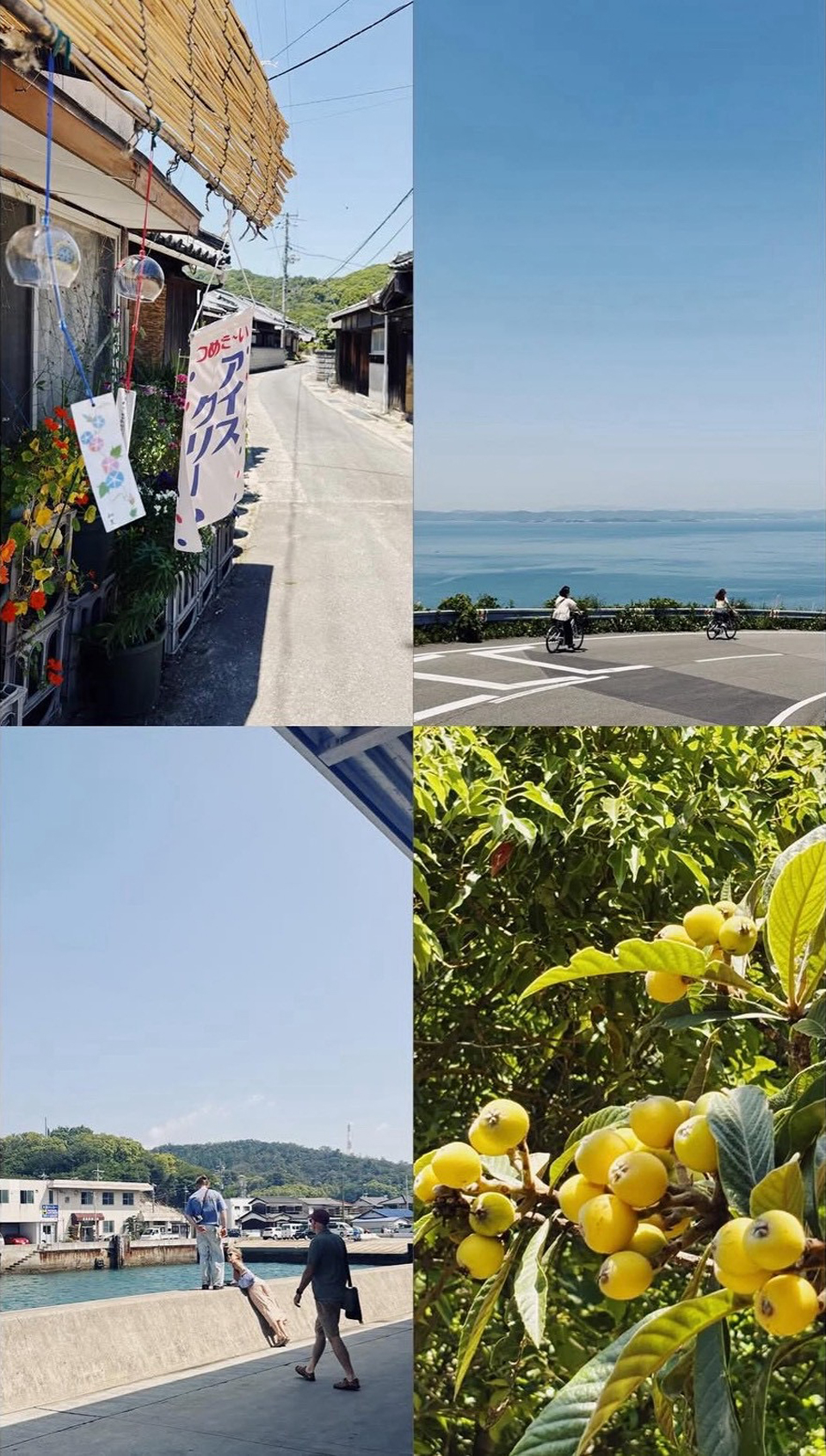 旅行
