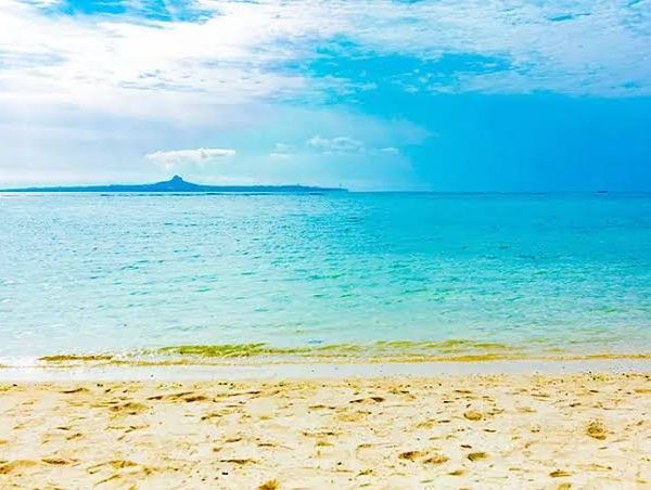 この夏、着たい”柄”あります。