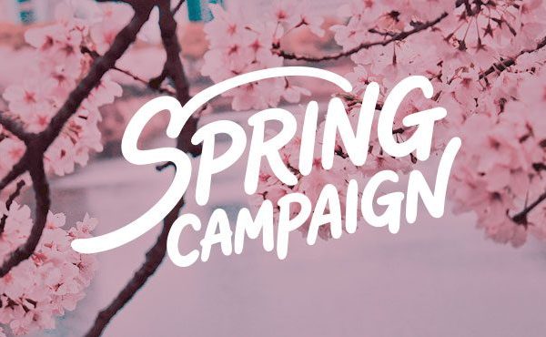 〈 BINGOYA全店 〉最大1万円分のクーポン！SPRING CAMPAIGN開催