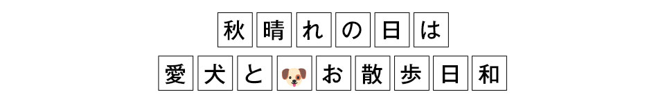 秋晴れの日は愛犬とお散歩日和
